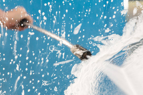 Best Roof Washing  in Lake Dunlap, TX