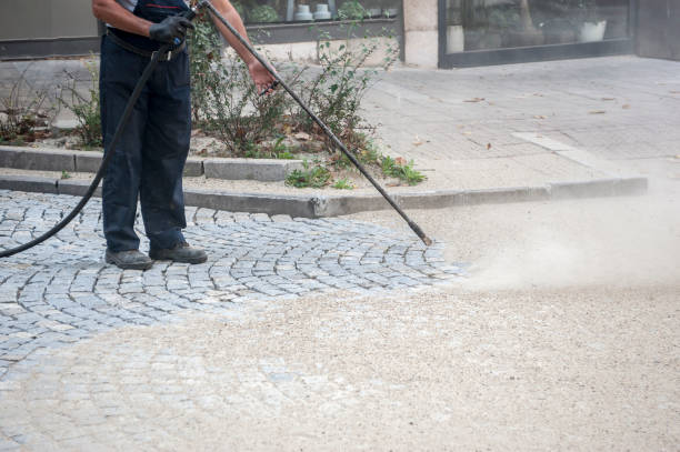 Best Dumpster Area Cleaning  in Lake Dunlap, TX