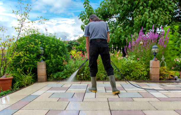 Best Fence Cleaning  in Lake Dunlap, TX